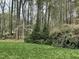 Spacious backyard with tall trees and lush green grass, offering a private and peaceful outdoor setting at 5816 Henner Pl, Durham, NC 27713