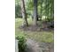 Wooded backyard featuring mature trees and landscaped areas creating a serene atmosphere at 5816 Henner Pl, Durham, NC 27713