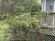 Charming garden featuring a lush bush with vibrant yellow flowers next to a deck at 5816 Henner Pl, Durham, NC 27713