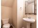 Cozy half-bathroom features modern fixtures, a pedestal sink, and a stylish framed mirror at 6206 Braidwood Court Ct, Raleigh, NC 27612