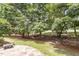 A serene backyard view features mature trees and flagstone patio in natural light at 1211 E Pointe Dr, Durham, NC 27712