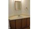 Bathroom vanity featuring a white sink, light countertop, wood cabinets, mirror, and towel ring at 1402 Barton Place Dr, Raleigh, NC 27608