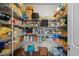 Spacious pantry with ample shelving for organized food storage and household items at 204 Ashland Hill Dr, Holly Springs, NC 27540
