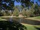 Scenic backyard pond with a fountain, trees, and lush landscaping at 259 Brown Bear, Chapel Hill, NC 27517