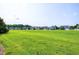 View of a quiet, well-manicured neighborhood with lush green spaces at 29 Laurel Ln, Youngsville, NC 27596