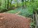 Lush backyard featuring mulched ground and hillside plantings, perfect for relaxation at 5105 Carolwood Ln, Durham, NC 27713