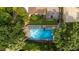 Stunning overhead shot of a backyard swimming pool oasis and greenery, perfect for summer relaxation at 821 Woodburn Rd, Raleigh, NC 27605