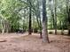 Spacious backyard with a grove of trees, an outdoor seating area and a charming wooden fence at 1006 Aversboro Rd, Garner, NC 27529
