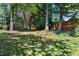 Large backyard featuring tall trees, green grass, and a wood fence surrounding the property at 104 Shady Ridge Ct, Apex, NC 27502