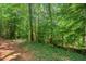 View of wooded backyard with green foliage and brown pine straw covered ground at 106 Choptank Ct # B-2, Cary, NC 27513
