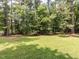 Spacious, grassy backyard bordered by mature trees, perfect for outdoor activities at 114 Brenrose Cir, Durham, NC 27705