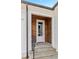 Front entrance with stone steps, a black railing, and a door with glass panel at 115 Founders Ridge Dr, Chapel Hill, NC 27517