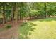 View of the backyard showing mature trees, a small bird bath, and a partially shaded lawn at 1230 Golden Bluff Ln, Fuquay Varina, NC 27526