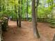 View of the backyard featuring trees, a privacy fence and pine straw ground cover at 15 Gray Fox Ct, Durham, NC 27713
