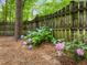 Close up view of the beautiful landscaping, flowers and fence in the backyard at 15 Gray Fox Ct, Durham, NC 27713