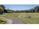 Community soccer field with goals and a walking path at 15 Gray Fox Ct, Durham, NC 27713
