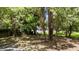 The backyard is heavily shaded with mature trees and a wood fence at the rear of the lot at 508 Buena Vista Ave, Rocky Mount, NC 27801