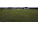 Sprawling backyard with expansive green space at 60 Falling Leaf Ln, Benson, NC 27504