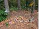 Whimsical fairy garden decor among pine straw and wooded backyard area at 1612 Old Bramble Ln, Fuquay Varina, NC 27526