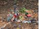 Charming view of fairy garden decor in wooded backyard area at 1612 Old Bramble Ln, Fuquay Varina, NC 27526