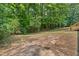 A verdant backyard bordered by mature trees, offering a private outdoor space at 2015 Saddlebrook Dr, Archer Lodge, NC 27527