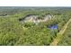 Aerial view showcasing a beautiful community surrounded by dense forest and a serene pond at 2328 Sanctuary Dr, Raleigh, NC 27606