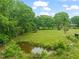 Expansive grassy yard featuring a pond, mature trees, and serene landscape at 2815 Orange Grove Rd, Hillsborough, NC 27278