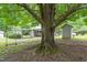 Spacious yard with large tree and a swing and shed at 2815 Orange Grove Rd, Hillsborough, NC 27278
