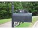 Curb appeal starts with a classic mailbox and landscaped yard at 407 Elm Farm Pl, Morrisville, NC 27560