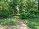 Lush backyard with a stone path leading through mature trees and greenery at 4204 Thetford Rd, Durham, NC 27707