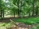 Wooded backyard with a gentle slope, offering a serene view surrounded by trees at 4204 Thetford Rd, Durham, NC 27707