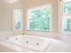 Bathroom featuring a large soaking tub and three large windows overlooking nature at 4204 Thetford Rd, Durham, NC 27707