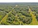Lush aerial view showing a neighborhood surrounded by mature trees and a natural landscape at 4702 Pleasant Green Rd, Durham, NC 27705