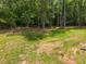 Spacious, grassy backyard with mature trees providing shade and privacy at 5300 Langdon Dr, Oxford, NC 27565