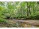 View of the sandy creek, which is nestled in a lush green area at 701 Creekside Dr, Clayton, NC 27520