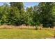 View of a dense tree line marking the end of the property, along with tall vegetation at 817 Stable Fern Dr, Fuquay Varina, NC 27526