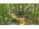Expansive backyard with mature trees, offering a private and serene outdoor space at 8508 Zinfandel Pl, Raleigh, NC 27615