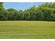Expansive green backyard with a beautiful lawn and tree line providing privacy at 1004 Lake Michael Way, Mebane, NC 27302