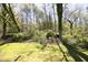 Secluded backyard with mature trees offers privacy and a serene natural setting at 103 Westview # H, Carrboro, NC 27510