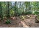 Secluded backyard with mature trees, offering privacy and a tranquil setting at 109 Jasmine Rose Ct, Holly Springs, NC 27540