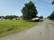 The home's front yard features a large tree, maintained bushes, and a long front yard at 202 Camelia Dr, Princeton, NC 27569