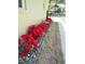 The side of the home boasts colorful landscaping with red flowers accenting the exterior at 2710 Broad St, Durham, NC 27704