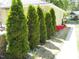 The exterior features meticulously maintained landscaping, including vibrant red flowers and neatly trimmed evergreen trees at 2710 Broad St, Durham, NC 27704