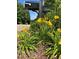 Charming front yard with vibrant yellow flowers and well-maintained greenery, enhancing curb appeal at 2721 Rustic Brick Rd, Raleigh, NC 27603