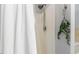 Shower with a curtain and greenery on the wall at 2721 Rustic Brick Rd, Raleigh, NC 27603