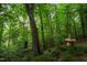 View of the natural surroundings with mature trees, backyard area, and rock landscaping at 3416 Ocotea St, Raleigh, NC 27607