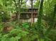Backside exterior elevation featuring a screened-in porch, lower basement access, and lush foliage surrounding the property at 3416 Ocotea St, Raleigh, NC 27607