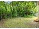 Large, grassy backyard with a mature tree line behind a chain link fence at 611 Rowland St, Henderson, NC 27536
