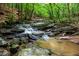 Beautiful creek running through a serene forest, featuring rocks and lush greenery at 708 October Woods Rd, Chapel Hill, NC 27516