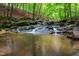 Scenic creek running through the lush, green forest with moss-covered rocks and clear water at 708 October Woods Rd, Chapel Hill, NC 27516